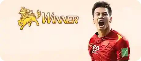 thể thao VIN